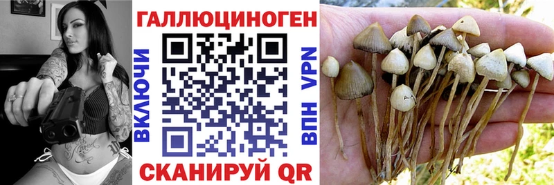 где продают Великий Устюг Псилоцибиновые грибы мухоморы
